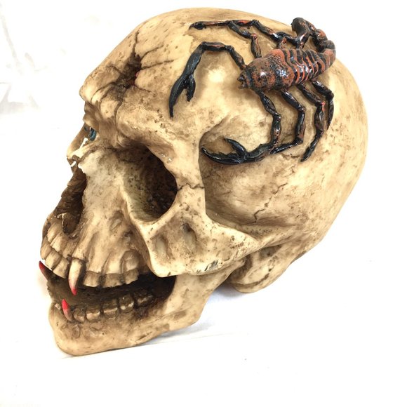 Vampire Skull Halloween Decor broken cheekbone  NOS NWT - Picture 4 of 7